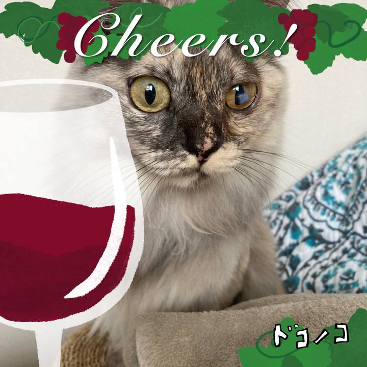 90375aa6 774e 4d48 8905 b132b5c6b223 1763283208217