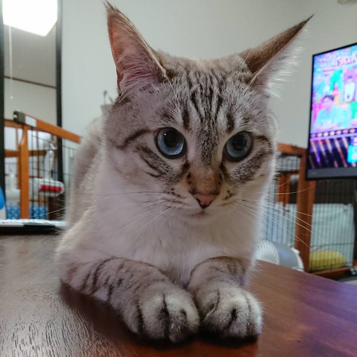 9037b116 ac32 4fdd 8d3b e63589240ea2 1597314693341