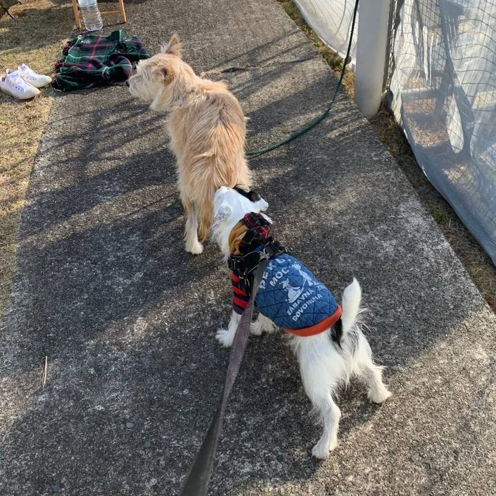 9037f78a fa31 4486 b16c 7f578dd978df 1641173971632