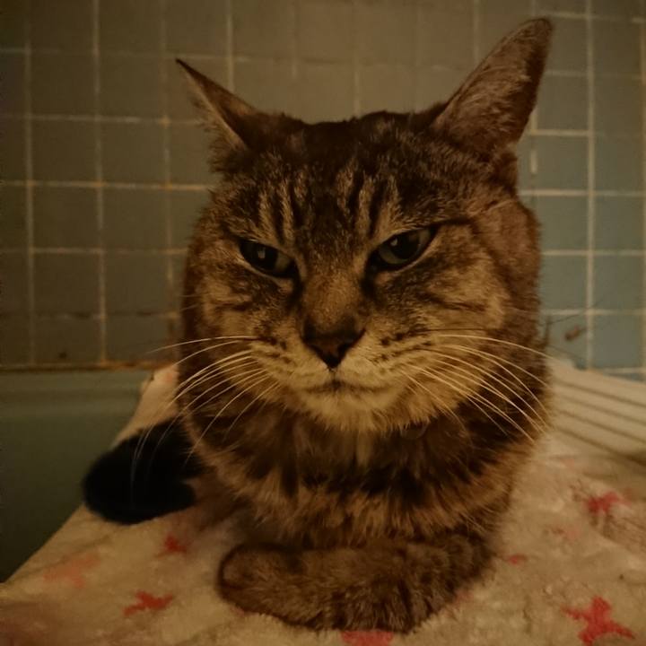 9037f9ef 1f31 4e39 806d 981c3c76d5f3 1579083779170