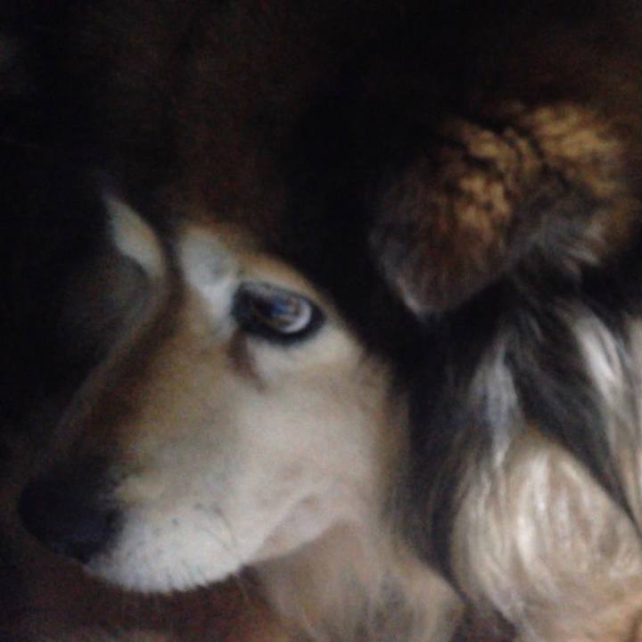 90380582 b487 4a2d b096 85a2ff0bd3fb 1562621813699