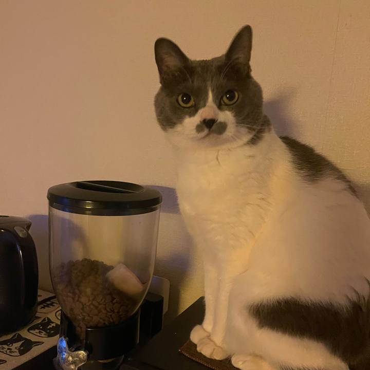 90381b96 15e5 4f2a 8c21 c7159294c54c 1741649095405