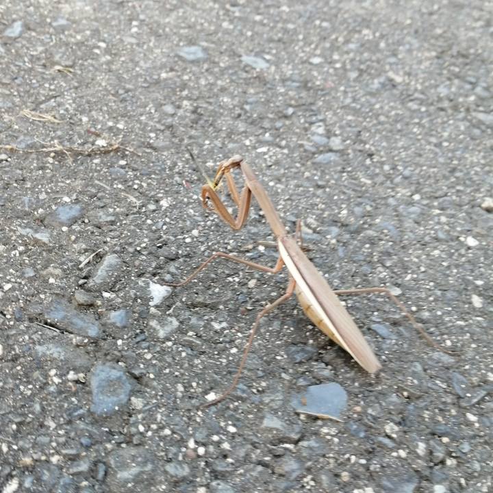 903823b2 abc9 44fb a43d 0145bad712e3 1602588764733