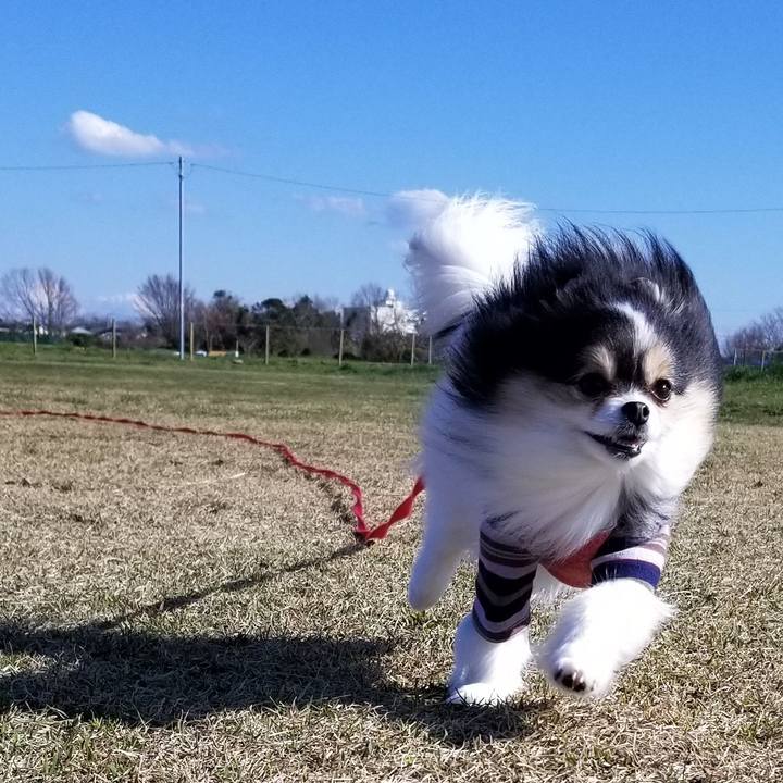 9038613a ab84 40a0 ba96 c70c369dc327 1584332491995