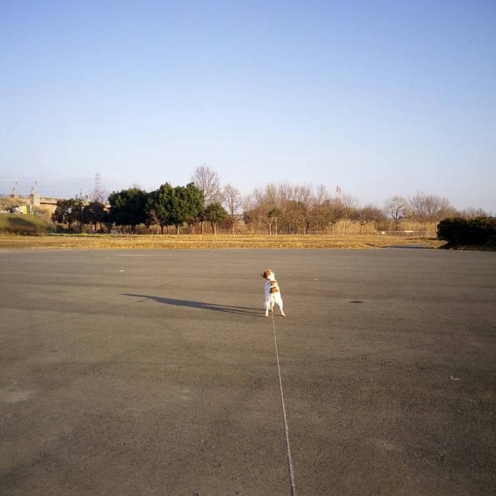 90388a9f 2bb5 4654 b3e5 0e4907245948 1520124457672