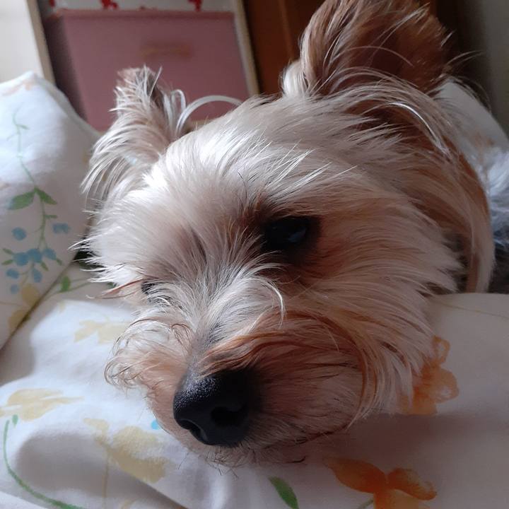 9038a362 558c 4c32 b5ec c1fee5259aa0 1595892592540