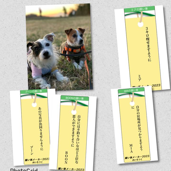 9038a4d4 9e1a 4bc4 adfc af1ff373f98d 1688522004095