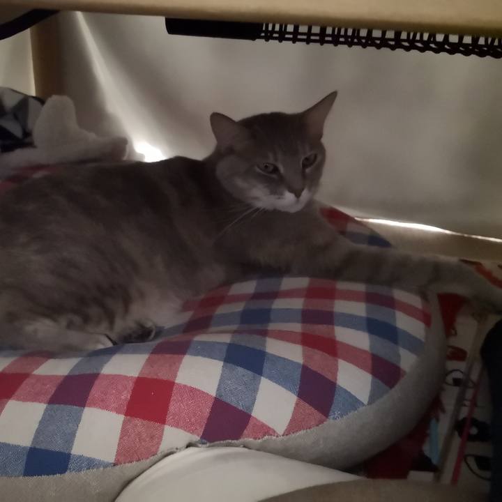 9038a778 83e8 40eb bffe 96d2294c14fe 1578903407261