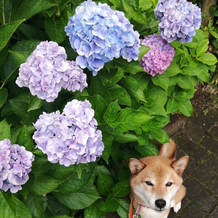 9038b9d5 2712 4e39 b7f7 a042b701d428 1595374146088