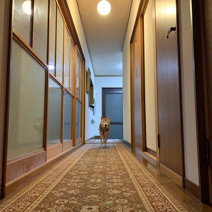 903901c7 17d2 4516 89fb c05719666fc5 1594638476509