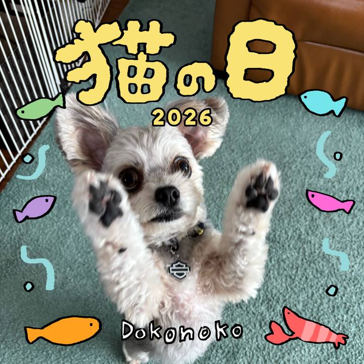 9039349d 014f 4cb9 9d86 d0edd32871ea 1771744782942