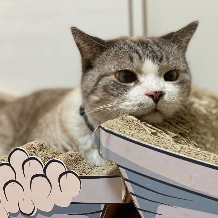 90393a58 f49b 432e a2fe acf0b0216d86 1628731957009