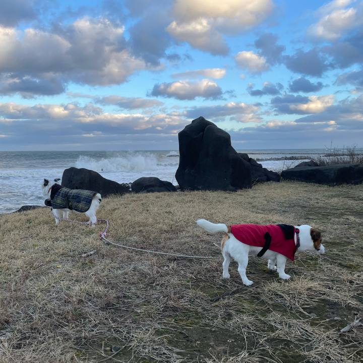 90393c50 6e2d 41ab adb4 c033a8863aff 1764371415638