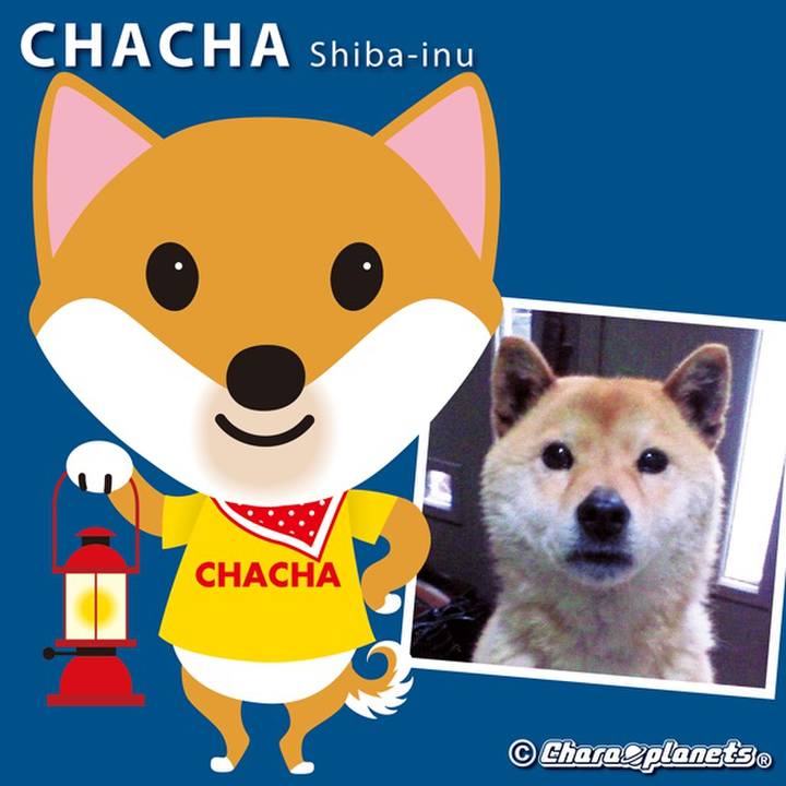 90395c5f 936d 42ef ad05 f8b9904dec8a 1562576065587