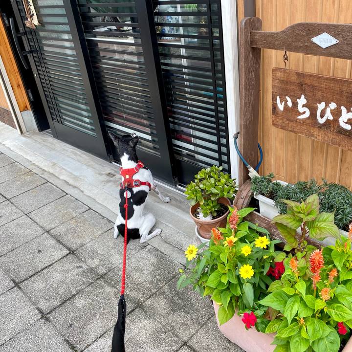 9039c7de c124 497a a400 dada86a067c8 1626340154222