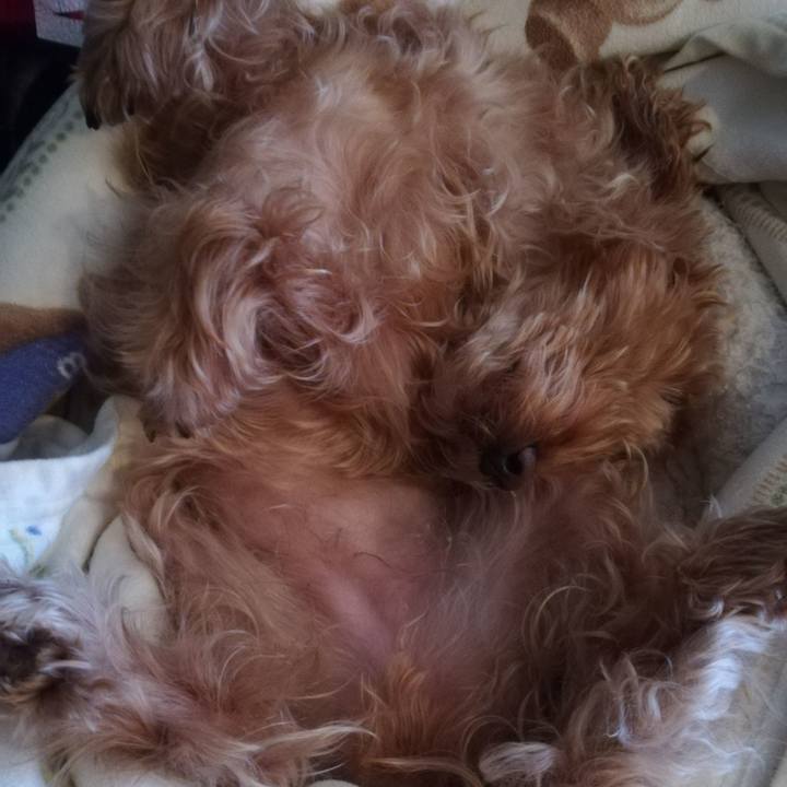 9039f597 3b3d 453b a41d c1d9cda0a75c 1547966525969