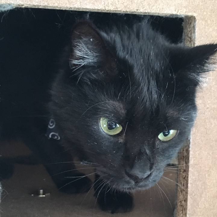 9039f8ee 9071 452e 96a8 d09448c4d435 1551094492132