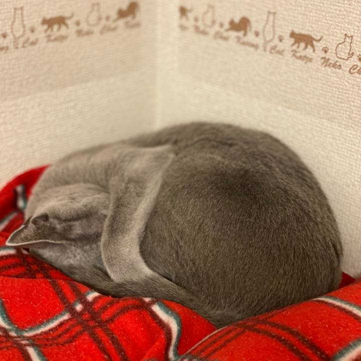 9039f964 2e99 4c8c a677 f93ccbd11263 1638860247468