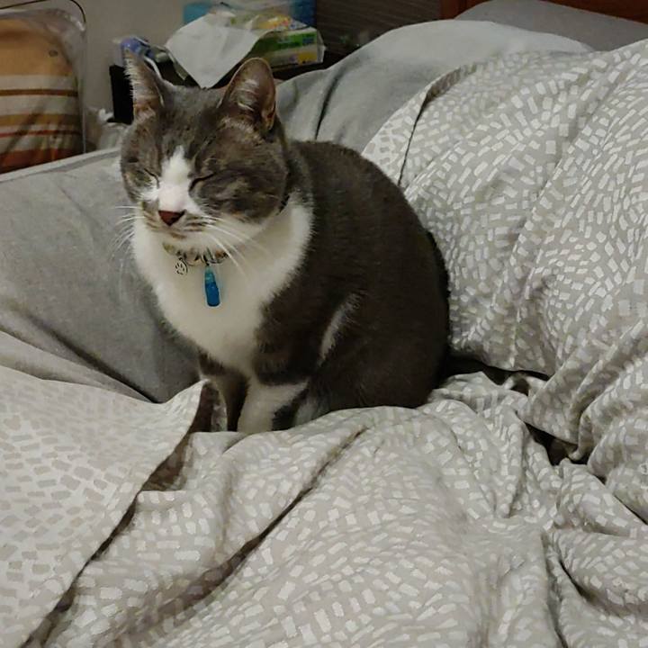 903a01c5 8621 42d4 8f39 a456620b4efc 1704836911809