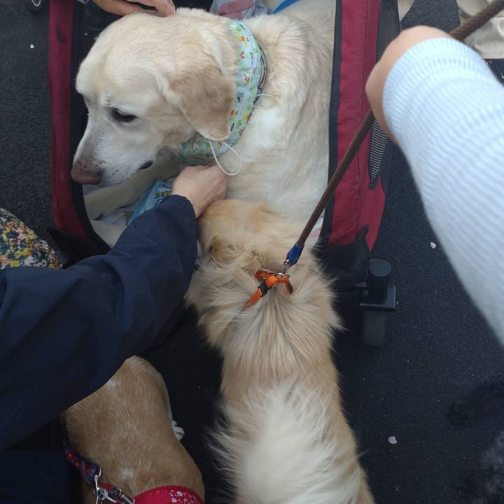 903a2cd6 6305 455f 939b a272f644b171 1744965873116