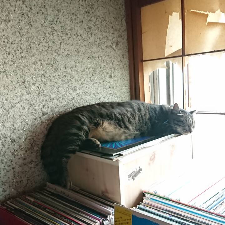 903a325e c4c1 4c43 b041 333a7d324b06 1659422273878