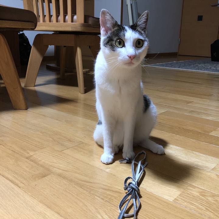 903a4041 36c7 4ef5 9d78 cd76735c6434 1627572600706