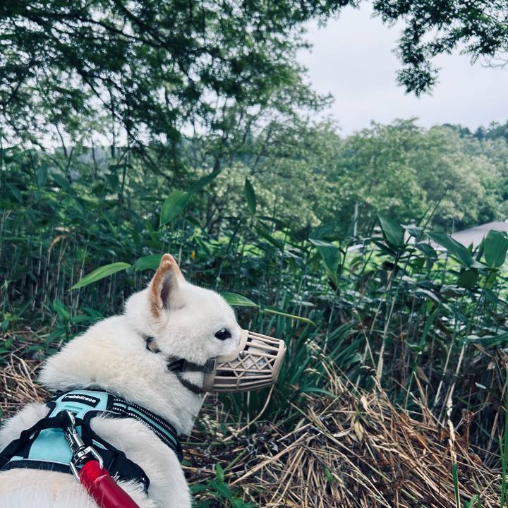 903a49ca b481 4b90 89db 083aa899d5ac 1686779724115