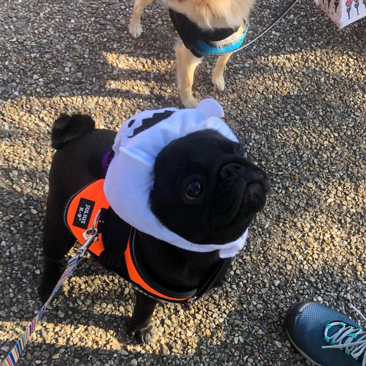 903a6730 6a15 45fd 8ed5 9a689599bdbd 1604103091566