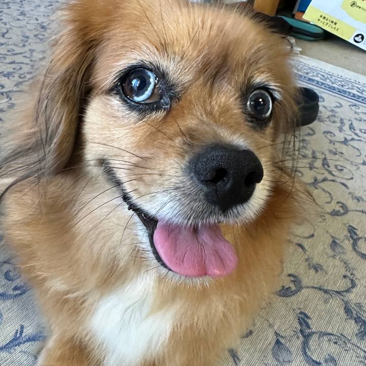 903a6890 3a02 4eeb bc56 6041794096f3 1723847078413