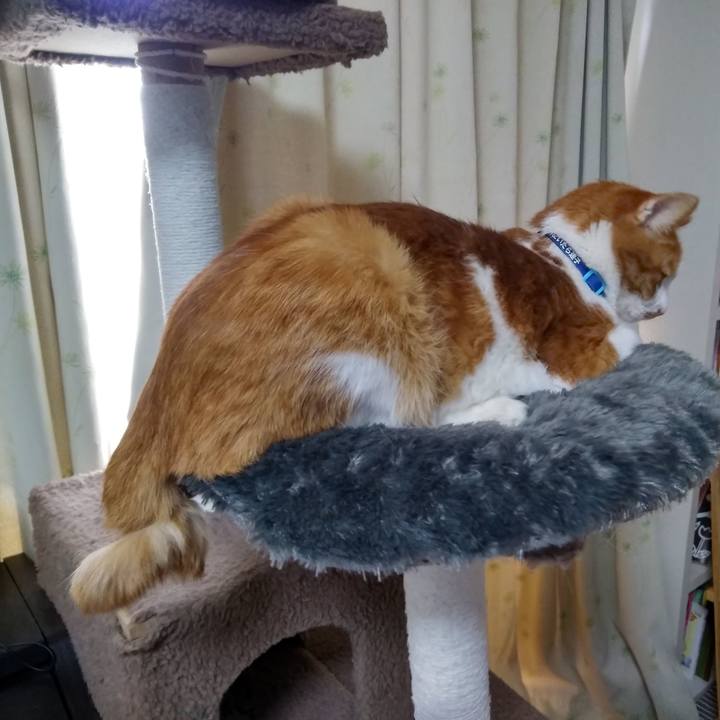 903a7e8e 71d7 4326 aa7e 3b39650753cd 1550385806963