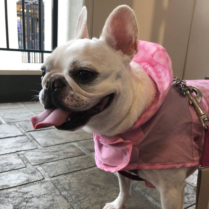 903a8b77 9215 47aa 8ee9 df119f7eedf5 1571037147167