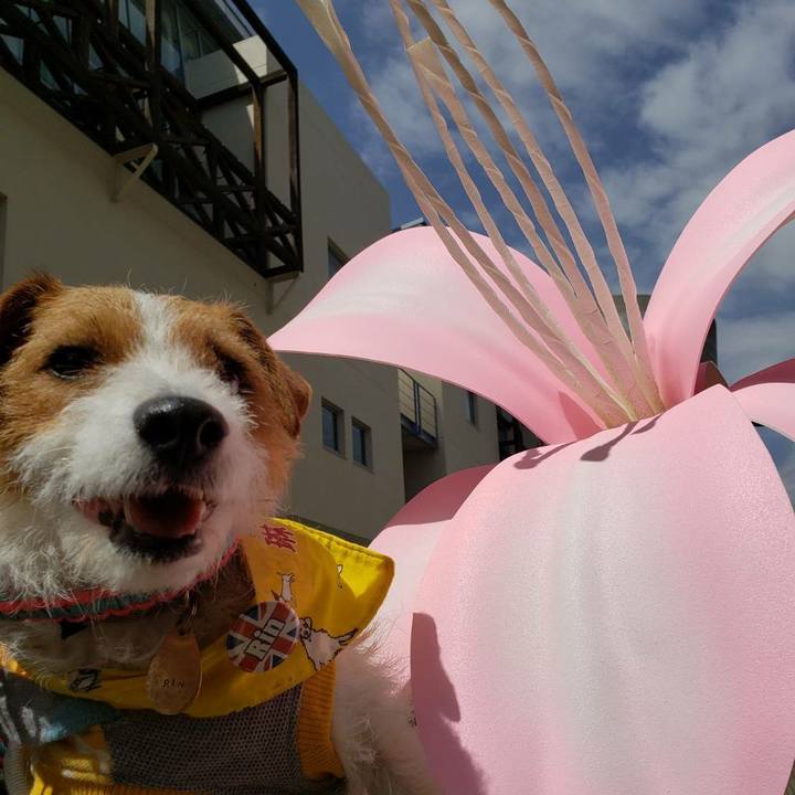 903aa0c0 4281 415a ba1d 75c4702f3d2e 1584760273562