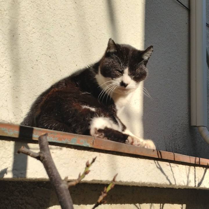 903aaf33 fa11 4f8c abb9 7b1745ffe3b0 1710114814146