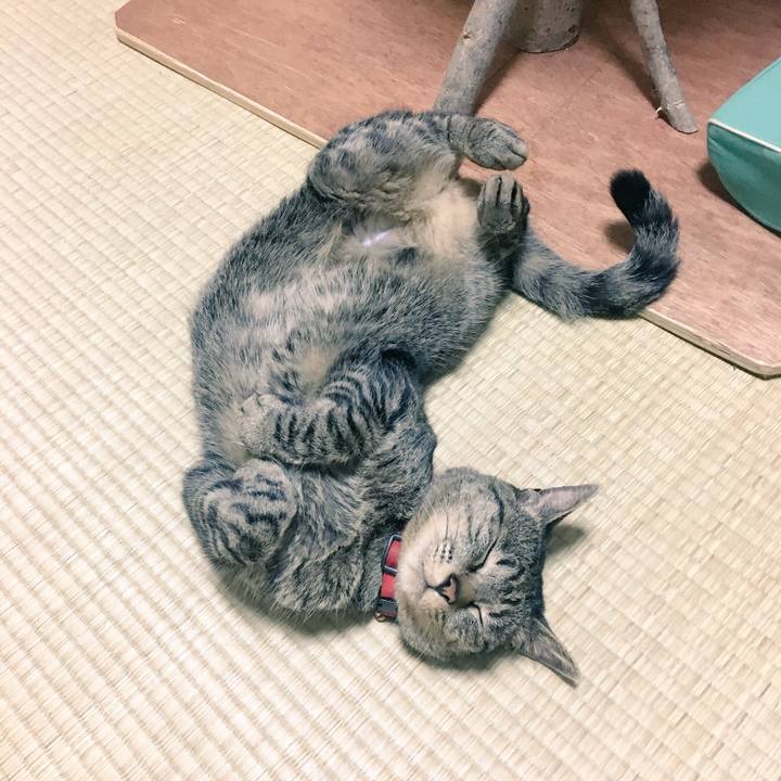 903abc93 9887 439c af90 8f7978c692d3 1527689700689