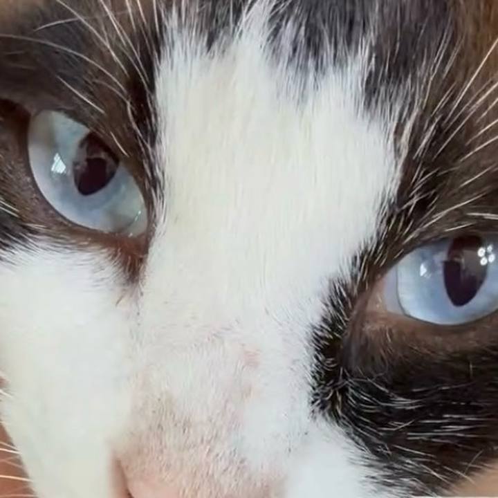 903ac085 a0ed 4242 a2b6 cdf1bdd0a8e7 1751343653459