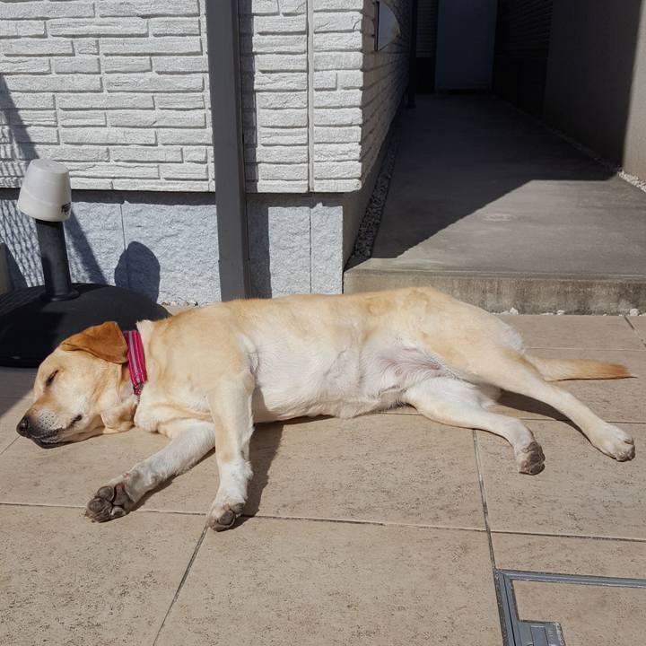 903ad001 f27d 4412 974a 1e5592118cb3 1550463547918