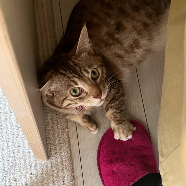 903ad8de 7481 4103 8184 b5003529dd53 1675991925378