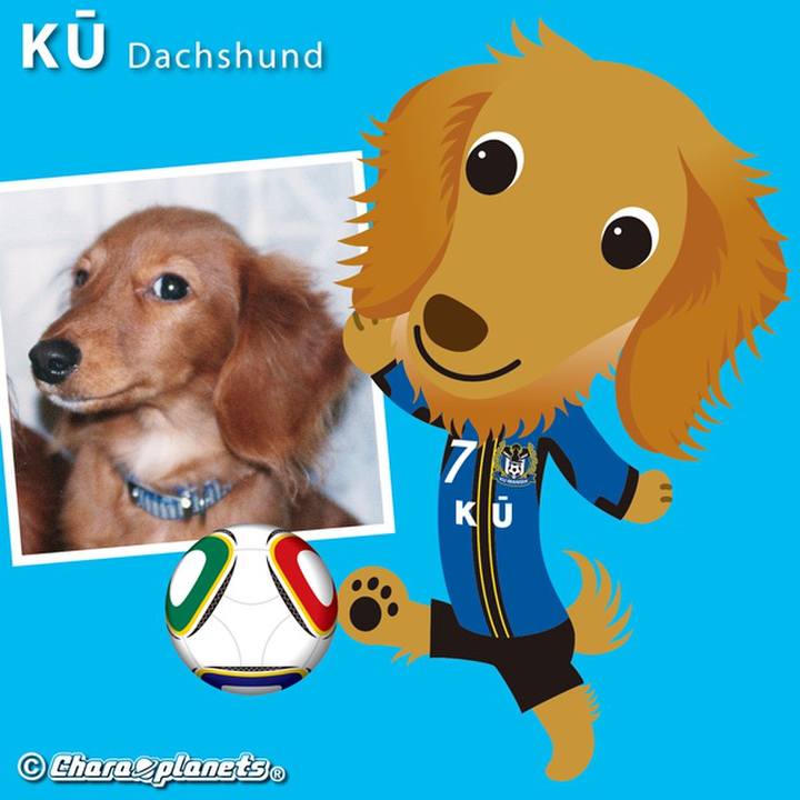 903b0ad4 59a4 4083 bb2a 758193a58b40 1562206390727