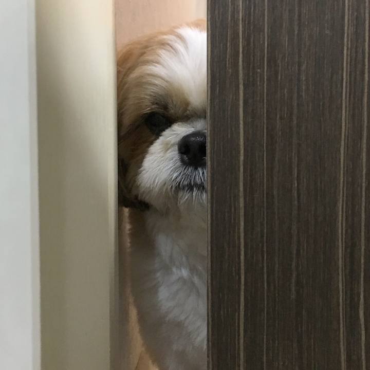 903b3f55 d727 4d1c 82ae 3453ebf513ba 1508583076318