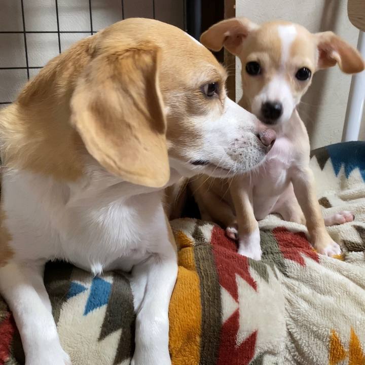 903b6f39 03c1 4a37 94d1 d1b489e98a91 1662946002321