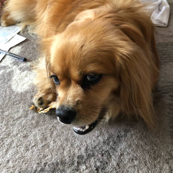 903b77cf b062 4fd9 948b a43c55b18fd8 1561768357118