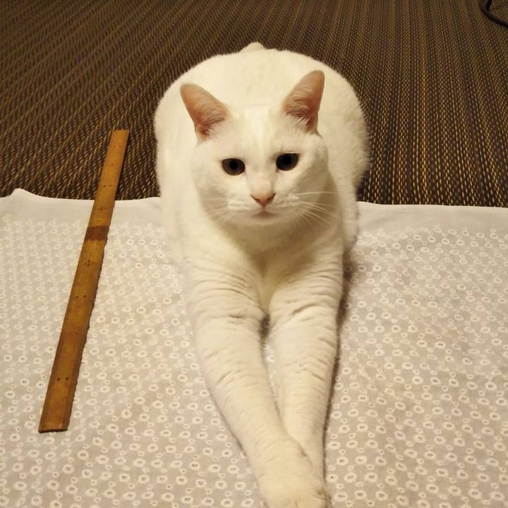 903b7b9b ec5f 4691 b7bd 62279d8e4774 1563717858224