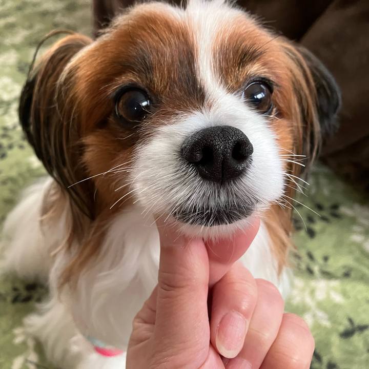 903b826c daf2 4c24 aac5 d3622ccd733b 1747379798009