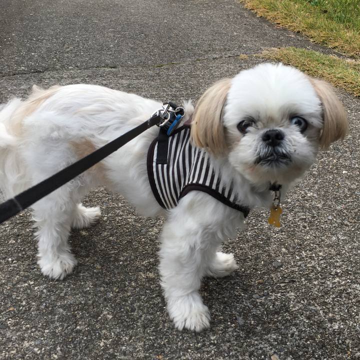 903b903c e174 429f 925f 13c0302ff28e 1604799631301