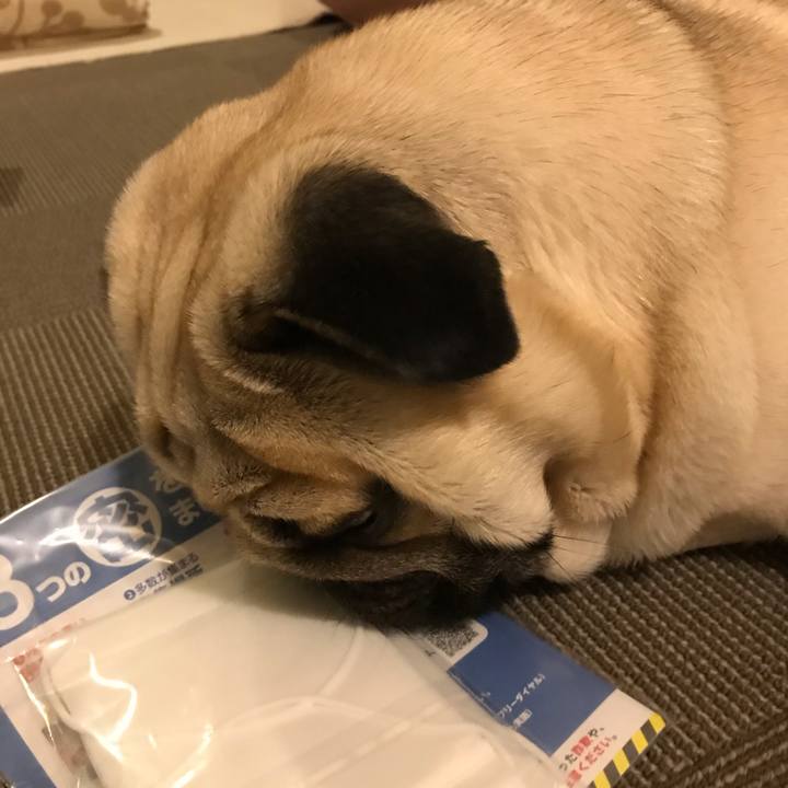 903b96e7 9ad7 46bb b26f 193dc069bbd9 1590409244844