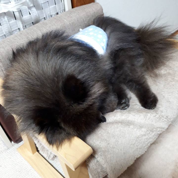 903bb580 277a 4061 9289 6c6509139020 1520803679624