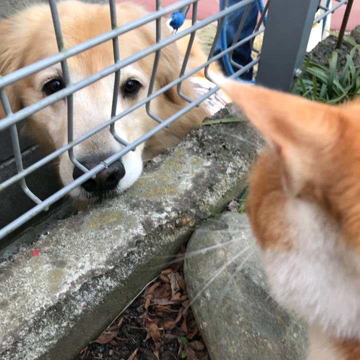 903be489 d3cc 4d11 9fde 1d0844b769a7 1518773855483