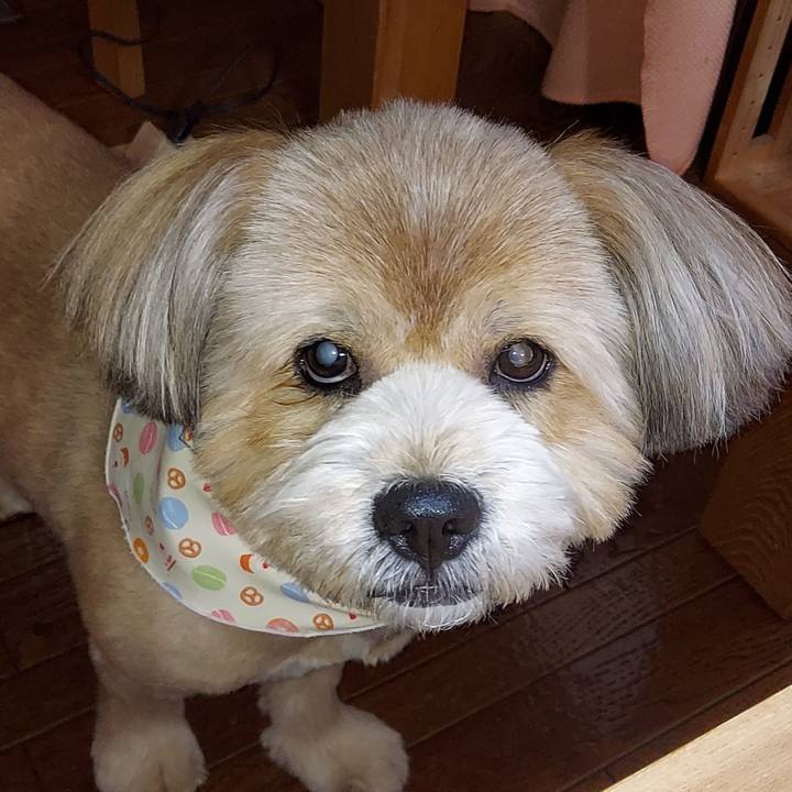 903c0a0b 89ab 486c 9902 59080bfae700 1621226276223