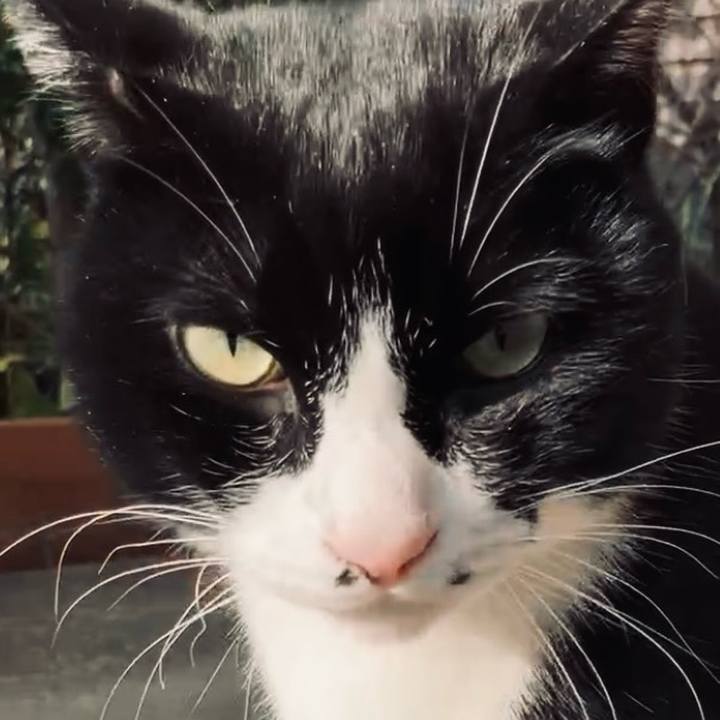 903c1d3a c576 427e afca a9b3c4c688f3 1732244643555