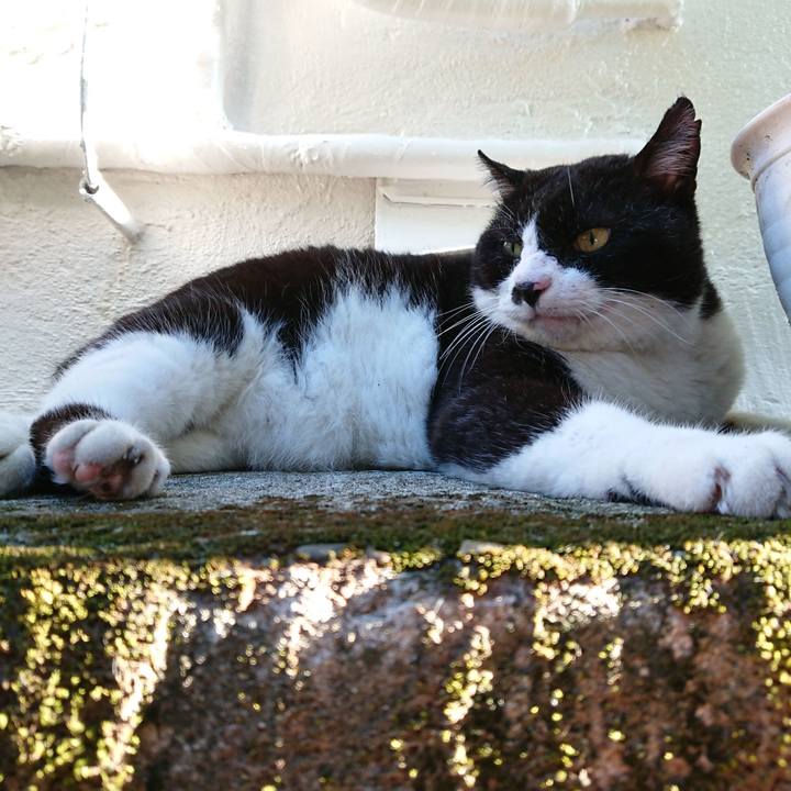 903c1fac a7ca 4e1a 95ab 0922c30090db 1628066207503